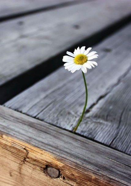 0c75f1285c3404a44178733cecbfdf19