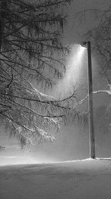 44300a4399bafad2dc58c677a9518059