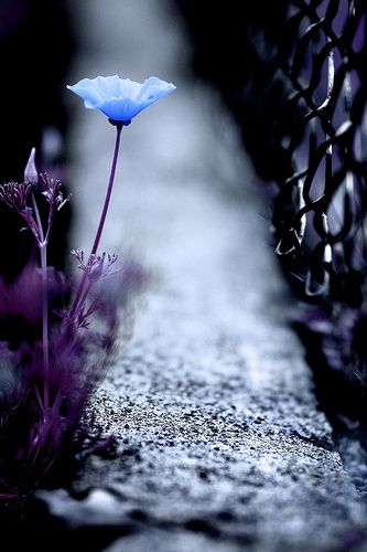 06680b8fa65d07b9ded1ecf5d9cc7ea5