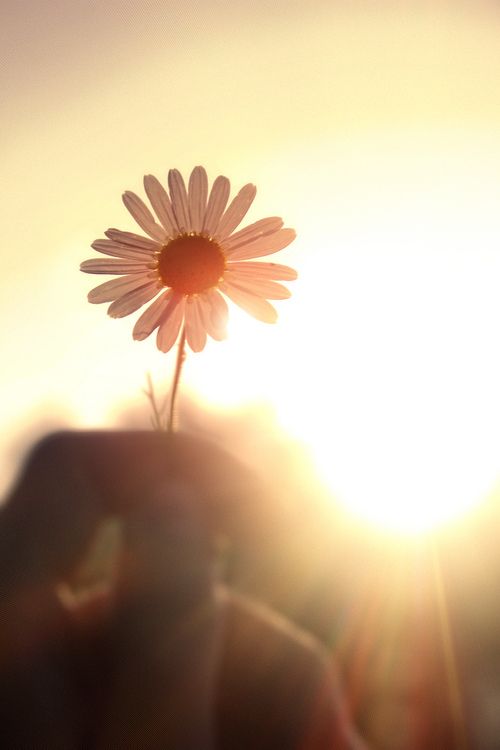 9e1b8f37747516cc8f41d806f46b9afd